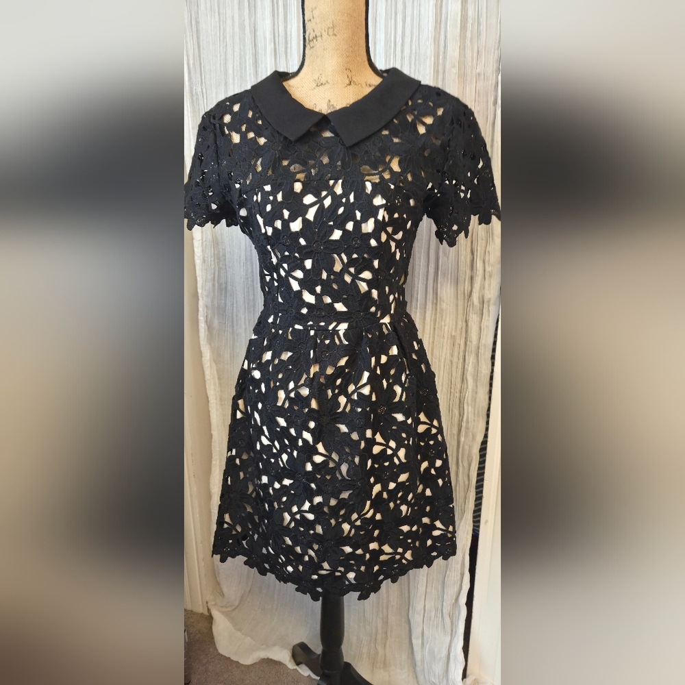 Aqua Black Lace Mini Dress